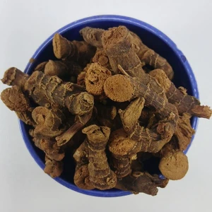 تصویر فروشگاه ایران سنتلا