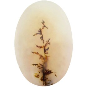 تصویر سنگ شجر پارلا گوهر کد 4079 