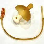 تصویر دندانگیر مایا مدل آبدار بسته ۲ عددی 