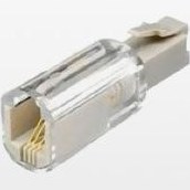 تصویر هرزگرد سیم تلفن 