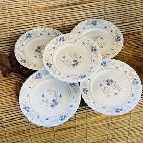 تصویر بشقاب پیش دستی پارس اپال کد ۱۲۰ مجموعه ۶ عددی 