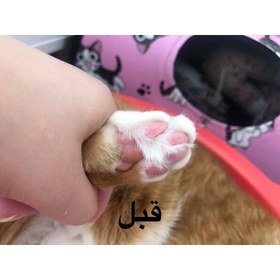 تصویر بالم پنجه پتوپیا سگ و گربه Cat and dog petopia claw balm