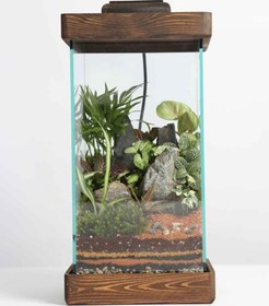 تصویر تراریوم اسکوئر 