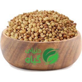 تصویر تخم گشنیز 