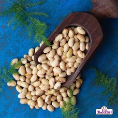 تصویر سویا آجیلی تازه یک کیلویی اعتماد ترش نمکی و خوش طعم 