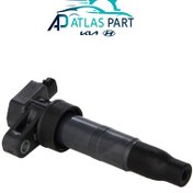 تصویر کوئل کیا اپیروس 