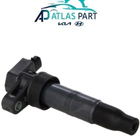 تصویر کوئل کیا اپیروس 