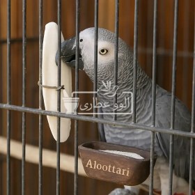 تصویر کف دریا درشت 