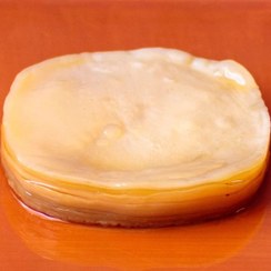 تصویر قارچ کامبوجا تازه 