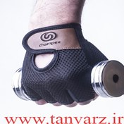 تصویر دستکش بدنسازی بدون مچ چمپکس (Champex Lifting Gloves Gear Man) 