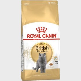 تصویر غذای خشک گربه بریتیش ادالت رویال کنین (Royal Canin Cat British Shorthair Adult) وزن ۱۰ کیلوگرم 