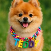 تصویر قلاده سگ و گربه همراه با اسم پت کد 202 