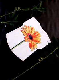 تصویر بلوز T- Shirt