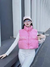 تصویر پافر کراپی در رنگبندی 