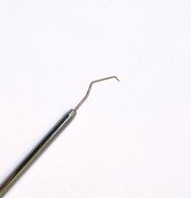 تصویر سوند دو سر کوشا 