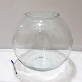 تصویر تنگ ماهی بزرگ 