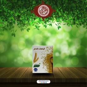 تصویر گیاهک گندم 