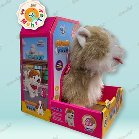 تصویر عروسک گربه پولیشی کنترلی موزیکال 