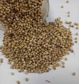 تصویر تخم گشنیز سرتی ممتاز Coriander seeds