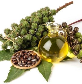 تصویر روغن کرچک Castor oil