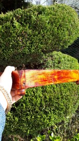 تصویر رایزر پایه دار چوبی Raizer