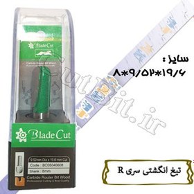 تصویر تیغ انگشتی (سریR) (cnc) قطر 19.6 کارگیر 9.52 شفت 6 R (گردی لبه) 4.76 Proucut 