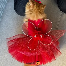 تصویر لباس دخترونه گربه مدل پروانه ای 