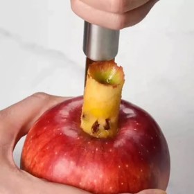 تصویر هسته گیرسیب استیل 