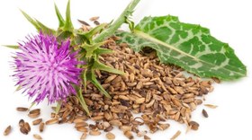 تصویر دانه خارمریم (1 کیلوگرم) 