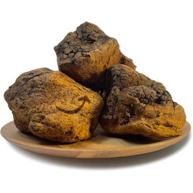 تصویر قارچ چاگا 