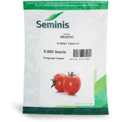 تصویر بذر گوجه فرنگی بدرو 8702 سمینیس ۵۰۰۰ عددی 