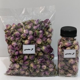 تصویر غنچه گل محمدی 