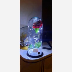 تصویر باکس گل رز یخی حالت زمستانی وبرفی طرح جدید 