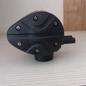 تصویر قلب شیردوش ترک 