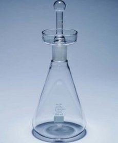 تصویر ارلن بیودی 