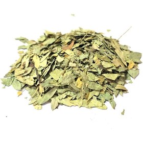 تصویر برگ سنا با کیفیت 