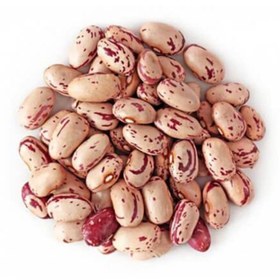 تصویر بذر لوبیا چیتی 20 عددی 