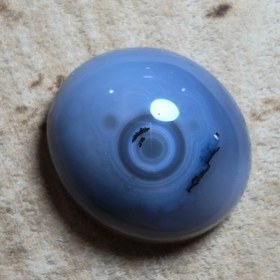 تصویر باباقوری شجر قائن 