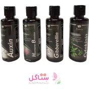 تصویر پک هورمون های موثر در رشد گیاه پروتکت نیچرPack of hormones effective in plant growth Protect Nature 