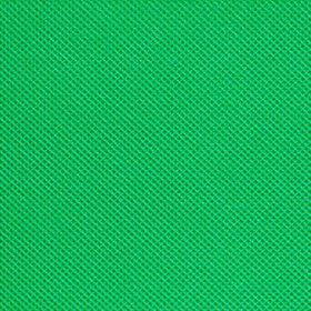 تصویر فون شطرنجی سبز 2*3 ا Backdrop nonwoven green 3x2 Backdrop nonwoven green 3x2