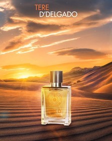 تصویر ادکلن جیبی مردانه دلگادو مدل تق هرمسDelgado Men’s pocket perfume TEREE D حجم 25 میل 