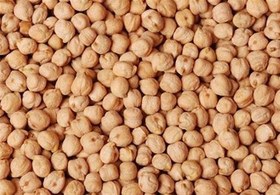 تصویر نخود تک خان خرید نخود تک خان آذرشهر از خشکبار آلارسان