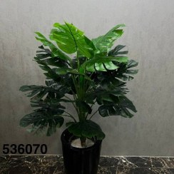 تصویر درختچه بابا آدم مصنوعی 