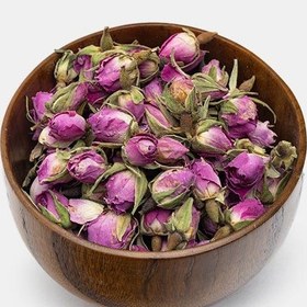 تصویر غنچه گل محمدی 