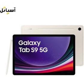 تصویر تبلت سامسونگ مدل Galaxy Tab S9 x716 5G حافظه 256 گیگابایت – رم 12 گیگابایت 