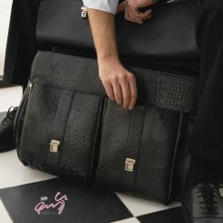 تصویر چمدان ساتیار 