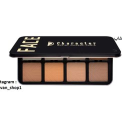 تصویر پالت کانتور خشک کارکتر C-A301 با ۸ رنگ مات و پیگمنت بالا برای بعددهی حرفه‌ای صورت Character Pro Contour Powder Palette – C-A301