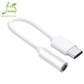 تصویر تبدیل TYPE C به AUX باوین (BAVIN) مدل AUX-18 