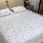 تصویر روکش یکبار مصرف تشک دو نفره و بالشت 