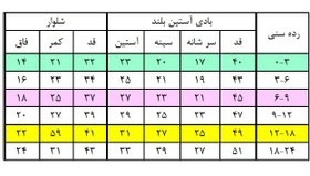 تصویر دو بادی شلوار کارترز مدل kcacatp1002 